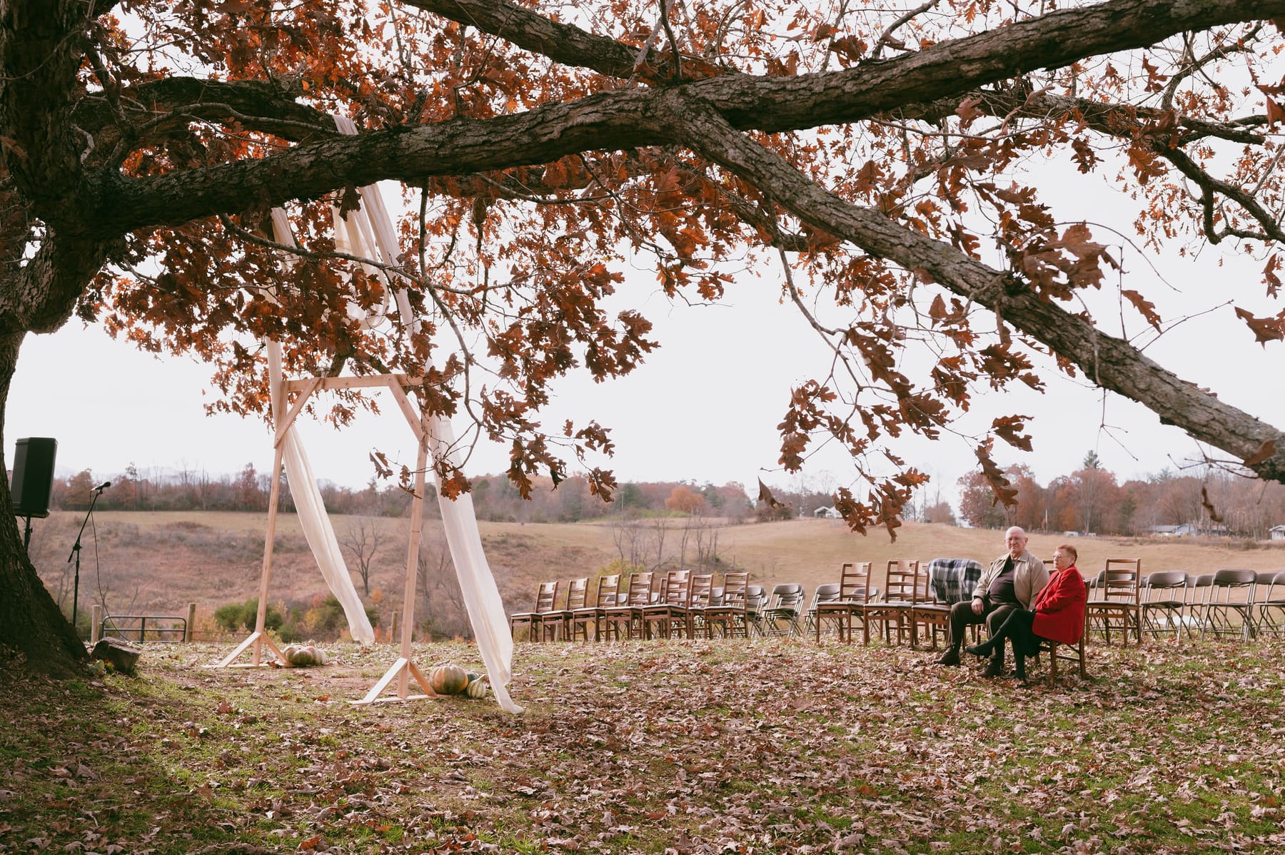 Ceremony seating beneath a large oak tree
