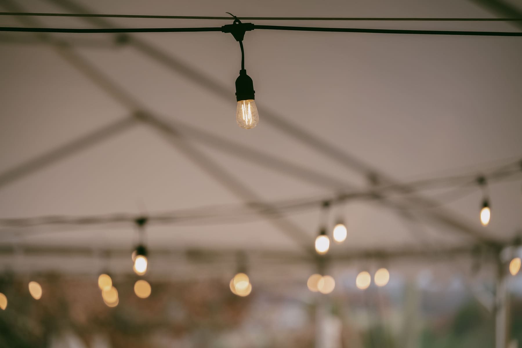 String lights glowing inside the tent