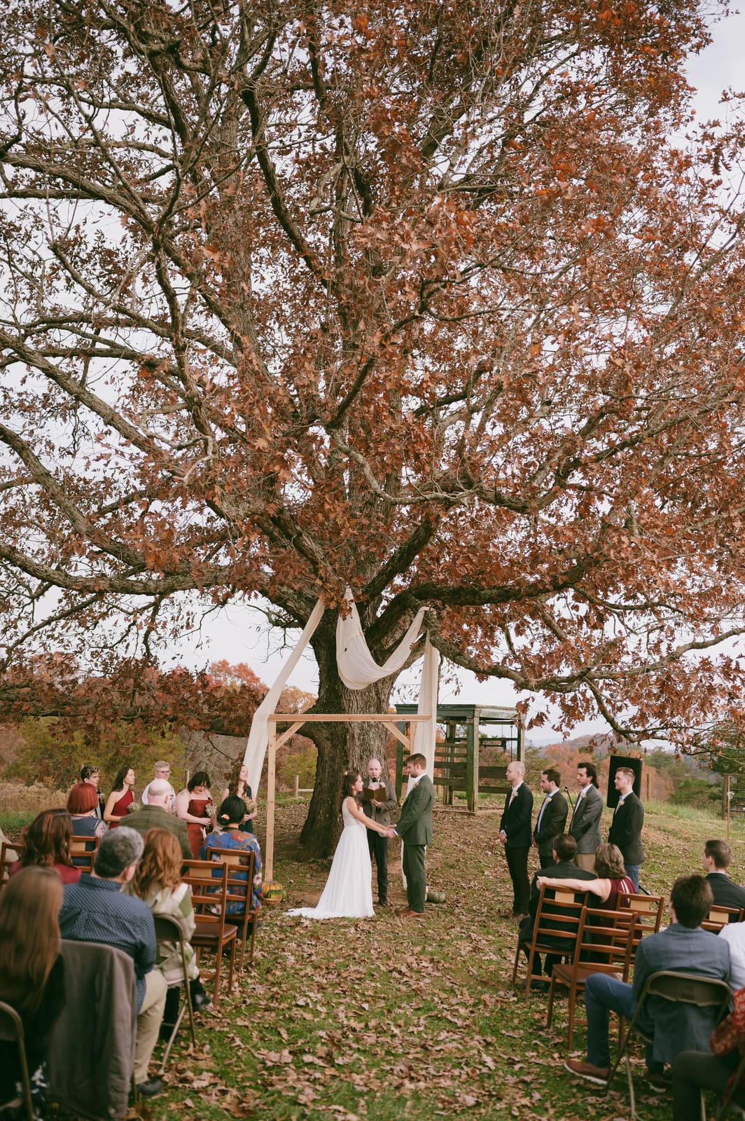 Wide view of guests gathered for the ceremony