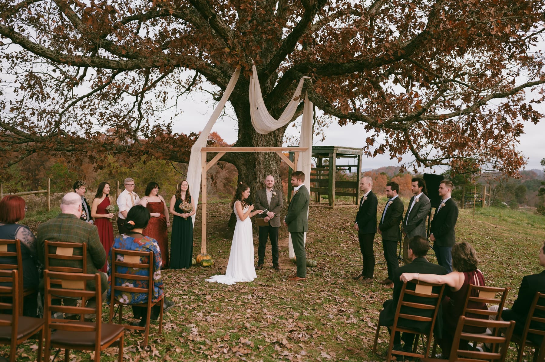 Wedding party gathered under the oak